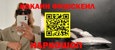 индика Пенза