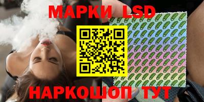 индика Пенза