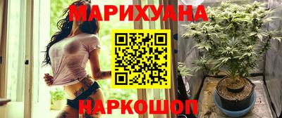 индика Пенза
